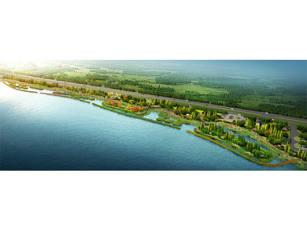 徐州310国道东侧沿湖湿地景观提升规划方案