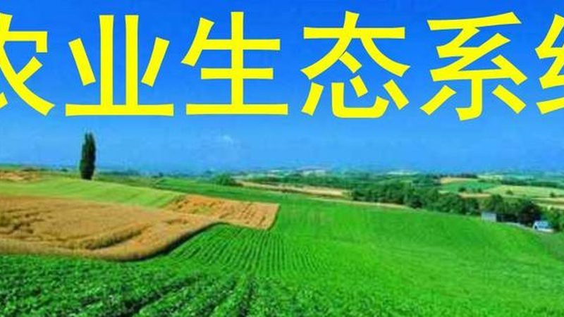 农村合作社如何选择优质农资供应商