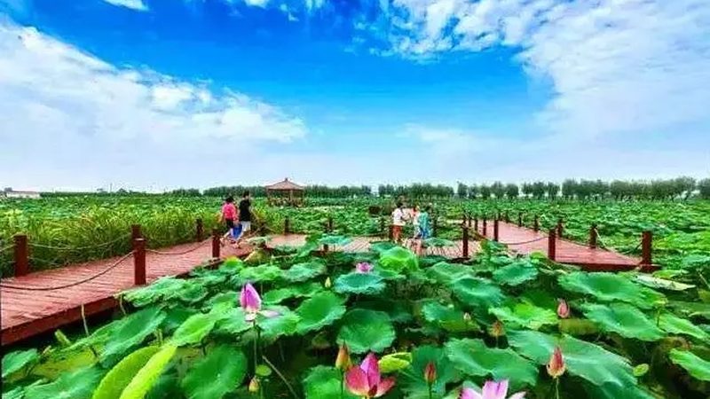 上海周边休闲农业基地交通便利