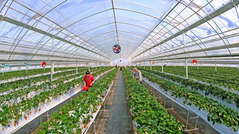 智慧农业系统施工流程解析：从规划到验收