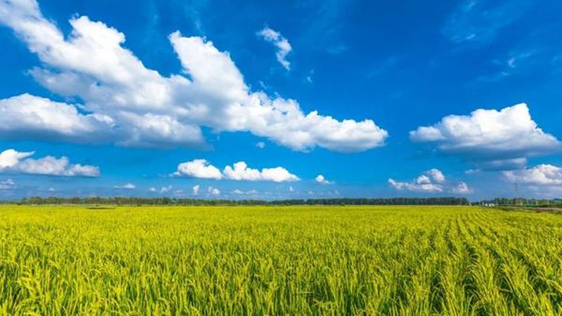 山地丘陵植保无人机：如何选择最适合的利器