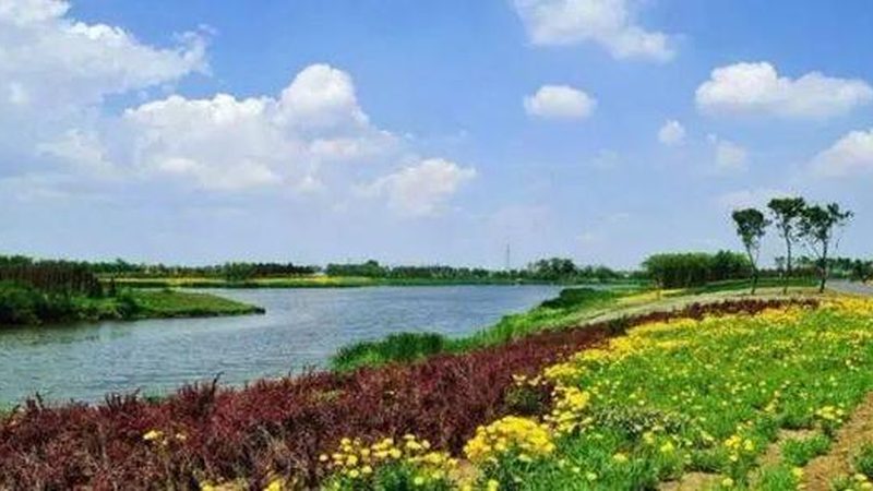 生态农业旅游开发，标准规范先行**