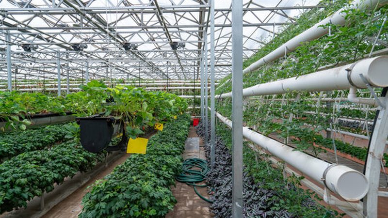 果蔬配送合同范本：构建稳定供应链的关键要素