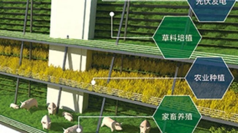 蔬菜溯源系统：守护食品安全，揭秘价格背后的秘密