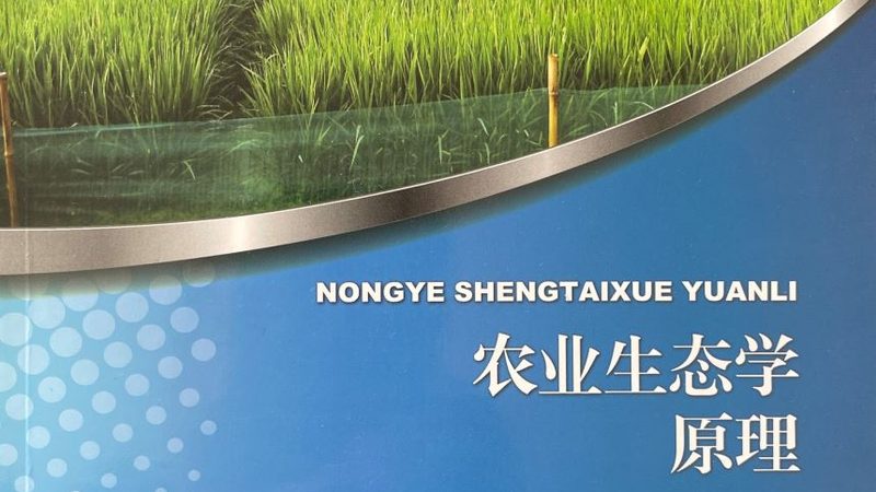 绿色食品，从田间到餐桌的纯净之旅