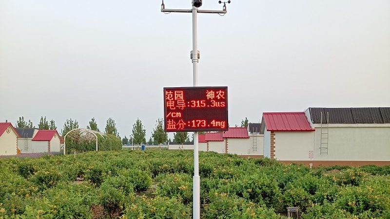 小型家庭农场加盟：如何选择合适的合作模式