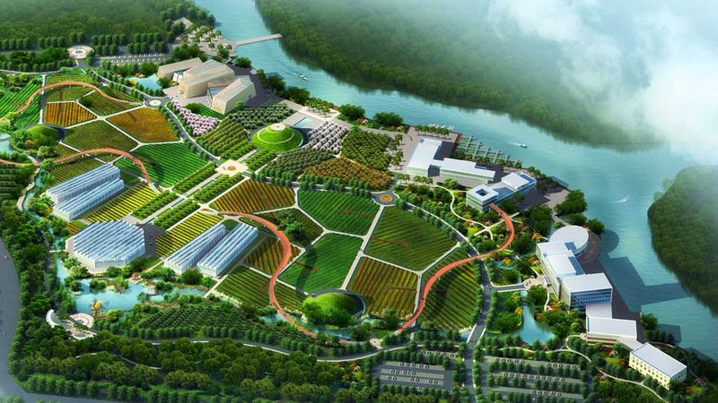 生物防治：农业生态平衡的守护者**